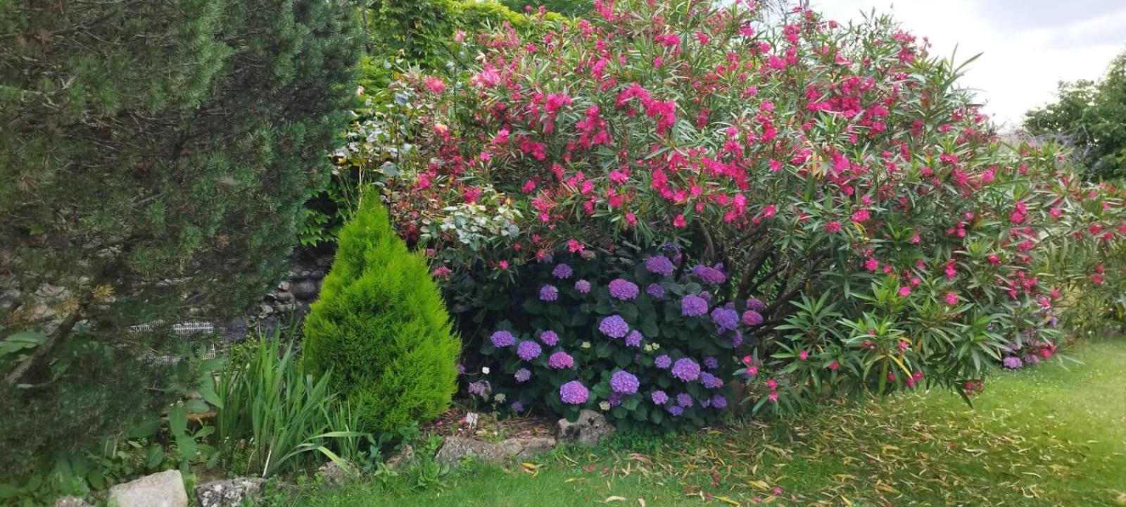 Gite 5 "Le Laurus" Aux Magnolias オーブナ エクステリア 写真