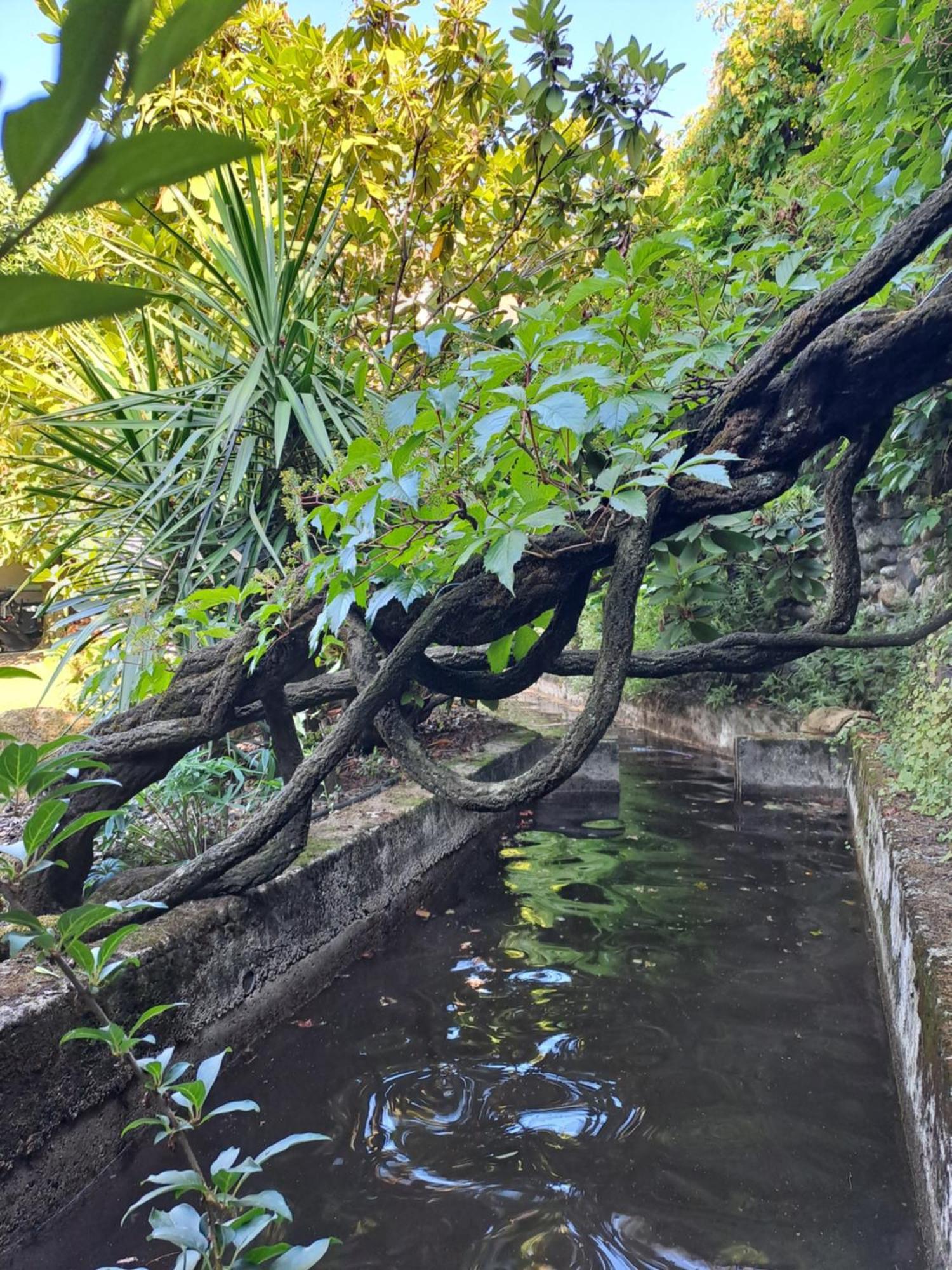 Gite 5 "Le Laurus" Aux Magnolias オーブナ エクステリア 写真