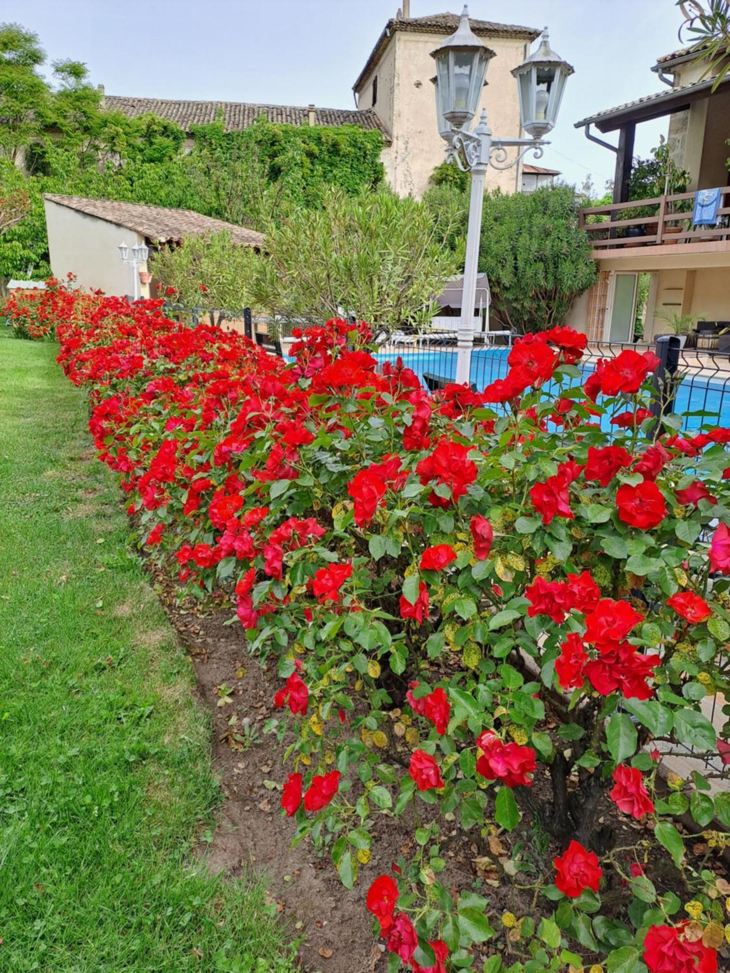 Gite 5 "Le Laurus" Aux Magnolias オーブナ エクステリア 写真